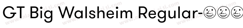 GT Big Walsheim Regular字体转换